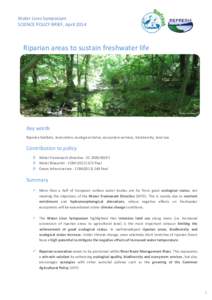 Water Lives Symposium SCIENCE POLICY BRIEF, April 2014 Riparian areas to sustain freshwater life  ©Peter Kristensen