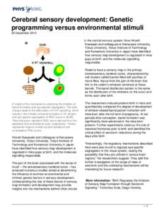 Cerebral sensory development: Genetic programming versus environmental stimuli