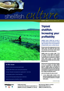 shellfish  culture shellfish culture newsletter Winter 2006