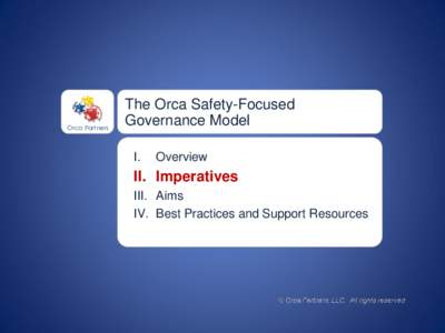 Orca Partners  The Orca Safety-Focused Governance Model I.