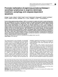 Promoter methylation of argininosuccinate synthetase-1 sensitises lymphomas to arginine deiminase treatment, autophagy and caspase-dependent apoptosis