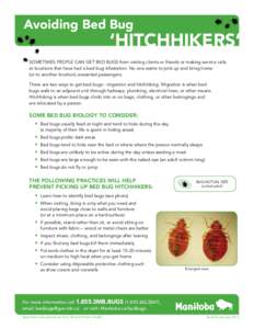 Avoiding Bed Bug  ‘HitchHikers’ Sometimes people can get bed bugs from visiting clients or friends or making service calls at locations that have had a bed bug infestation. No one wants to pick up and bring home