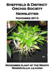 Sheffield & District Orchid Society Newsletter NovemberNovember plant of the Month