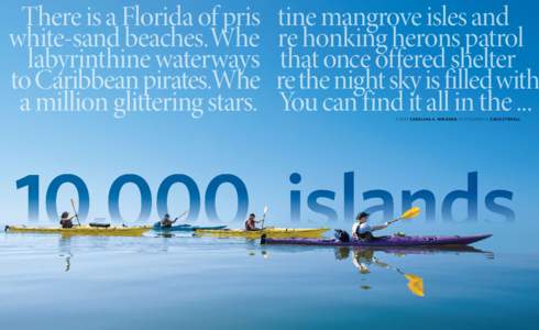There is a Florida of pris white-sand beaches. Whe labyrinthine waterways to Caribbean pirates.Whe a million glittering stars.