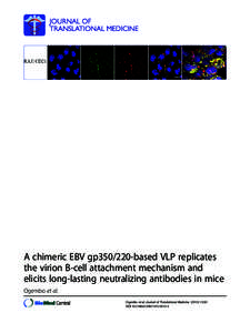 A chimeric EBV gp350/220-based VLP replicates the virion B-cell attachment mechanism and elicits long-lasting neutralizing antibodies in mice