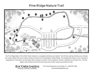Pine Ridge Nature Trail  The Pine Ridge Nature Trail at Bok Tower Gardens is a longleaf pine/turkey oak habitat. The 3/4-mile walking trail takes you through this unique habitat that once covered millions of acres of the
