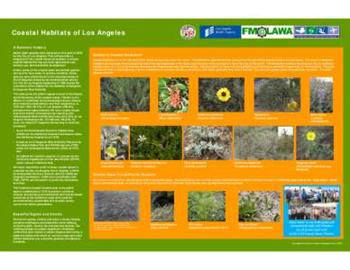 Microsoft PowerPoint - Coastal Habitats of Los Angeles Plants[removed]ppt [Compatibility Mode]