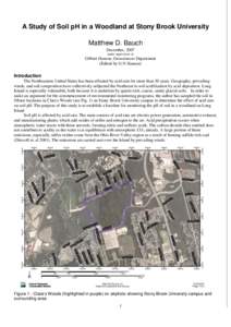 A Study of Soil pH in a Bounded Woodland on Stony Brook University Property