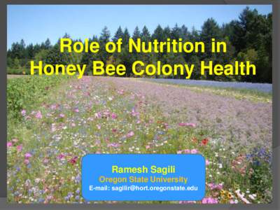 Role of Nutrition in Honey Bee Colony Health Ramesh Sagili Oregon State University E-mail: 