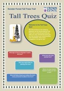 Dunster Forest Tall Trees Trail  Welcome to the Tall Trees Quiz! All of the answers to the following questions can be found along the Tall