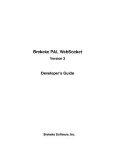 Microsoft Word - websocket_developer_guide_140201_clean.doc