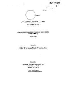 Robust Summaries & Test Plan: Cyclohexanone Oxime; Test Plan