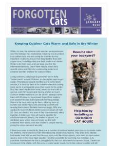 Keeping Outdoor Cats Warm and Safe in the Winter While, for now, the extreme cold weather we experienced over the holidays has moderated, knowing how to protect any outdoor cats you are caring for in winter is very impor