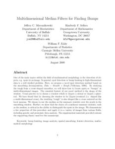 Multidimensional Median Filters for Finding Bumps Jeffrey C. Miecznikowski Department of Biostatistics University of Buffalo Buffalo, NY[removed]removed]