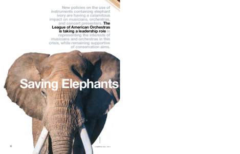 empire331/istock  New policies on the use of instruments containing elephant ivory are having a calamitous impact on musicians, orchestras,