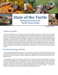 State of the Turtle Raising Awareness for Turtle Conservation 1 January 2011