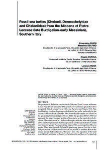 Fossil sea turtles (Chelonii, Dermochelyidae and Cheloniidae) from the Miocene of Pietra Leccese (late Burdigalian-early Messinian),
