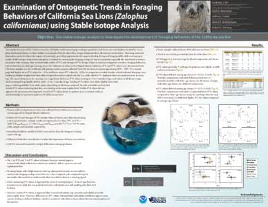 Anthony J. Orr  Examination of Ontogenetic Trends in Foraging Behaviors of California Sea Lions (Zalophus californianus) using Stable Isotope Analysis