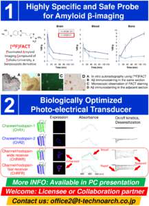 Highly Specific and Safe Probe for Amyloid β-imaging O N