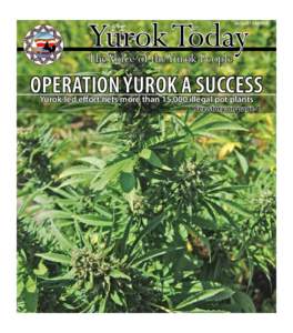 Yurok Today  August EDITION The Voice of the Yurok People