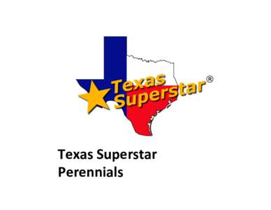 Texas	Superstar	 Perennials What	is	a	Texas	Superstar?	 Considerations: •  Good	looking