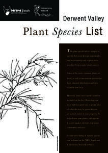 Understorey Network Derwent Valley  Plant Species List