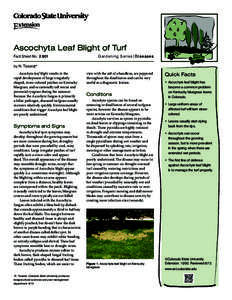 Ascochyta Leaf Blight of Turf Fact Sheet No.	 2.901 Gardening Series| Diseases  by N. Tisserat*