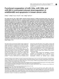 Functional cooperation of miR-125a, miR-125b, and miR-205 in entinostat-induced downregulation of erbB2&sol;erbB3 and apoptosis in breast cancer cells