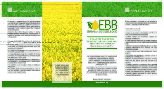 Why biodiesel?  EBB Activities Biodiesel is a renewable transport fuel produced in Europe from plant oils such as rapeseed, as well as recycled wasted