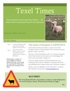 Texel Times The newsletter featuring Texel Sheep – the breed with exceptional muscle development February 2012, v.8, no.6