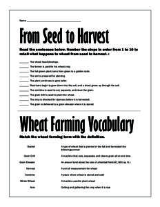 Name  From Seed to Harvest Read the sentences below. Number the steps in order from 1 to 10 to retell what happens to wheat from seed to harvest. :