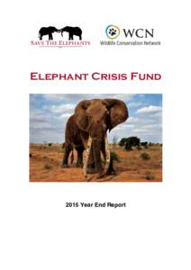 Elephant Crisis FundYear End Report EXECUTIVE SUMMARY The ivory poaching crisis continues to cause declines in elephant populations across