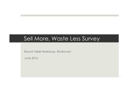 Sell More, Waste Less Survey Round Table Workshop, Eindhoven June