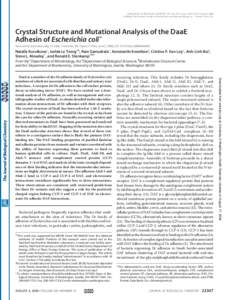 THE JOURNAL OF BIOLOGICAL CHEMISTRY VOL. 281, NO. 31, pp[removed]–22377, August 4, 2006 © 2006 by The American Society for Biochemistry and Molecular Biology, Inc. Printed in the U.S.A. Crystal Structure and Mutational 