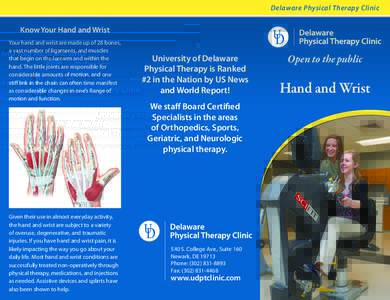 Delaware Physical Therapy Clinic  Know Your Hand and Wrist Your hand and wrist are made up of 28 bones, a vast number of ligaments, and muscles that begin on the forearm and within the