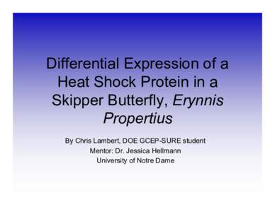 Differential Expression of a Heat Shock Protein in a Skipper Butterfly, Erynnis Propertius By Chris Lambert, DOE GCEP-SURE student Mentor: Dr. Jessica Hellmann