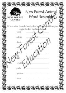 New Forest Animal Word Scramble