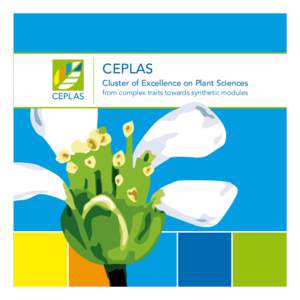 CEPLAS Cluster of Excellence on Plant Sciences from complex traits towards synthetic modules About CEPLAS Plants are the basis of all human life. They provide food and feed, medical drugs, as well