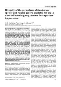 REVIEW ARTICLE  Diversity of the germplasm of Saccharum species and related genera available for use in directed breeding programmes for sugarcane improvement
