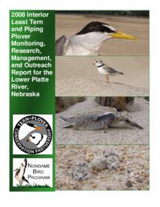 2008 LPR Least Tern and Piping Plover Report