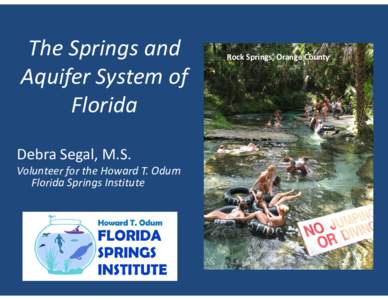 The Springs and Aquifer System of Florida Debra Segal, M.S. Volunteer for the Howard T. Odum Florida Springs Institute