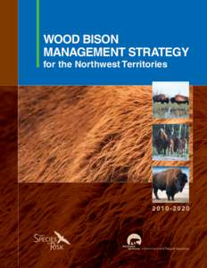 Wood Bison Management Strategy for the Northwest Territories[removed]