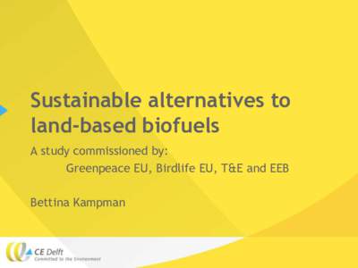 Sustainable alternatives to land-based biofuels A study commissioned by: Greenpeace EU, Birdlife EU, T&E and EEB Bettina Kampman