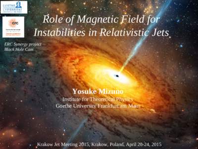 Role of Magnetic Field for Instabilities in Relativistic Jets ERC Synergy project Black Hole Cam  Yosuke Mizuno