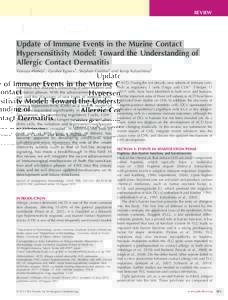 Update of Immune Events in the Murine Contact Hypersensitivity Model: Toward the Understanding of Allergic Contact Dermatitis