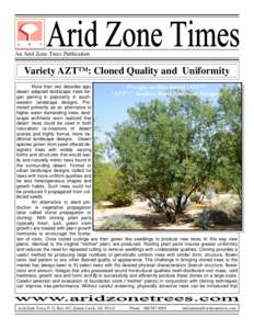 An Arid Zone Trees Publication  Variety AZT™: Cloned Quality and Uniformity More than two decades ago, Prosopis seedless hybrid ‘AZT™’ desert adapted landscape trees be‘AZT™’ Seedless South American Mesquit