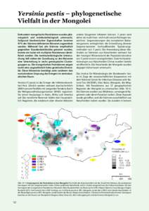 Yersinia pestis – phylogenetische Vielfalt in der Mongolei Einhundert mongolische Peststämme wurden phänotypisch und molekularbiologisch untersucht. Aufgrund biochemischer Eigenschaften konnten 97% der Stämme defini