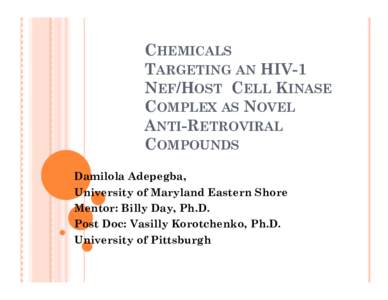 Chemicals Targeting an HIV-1 Nef/Host  Cell Kinase Complex as Novel Anti-Retroviral Compounds
