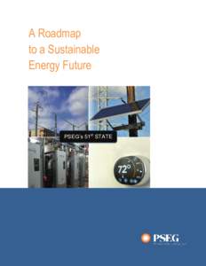 A Roadmap to a Sustainable Energy Future PSEG’s 51st STATE