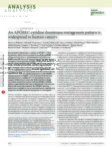 a n a ly s i s  An APOBEC cytidine deaminase mutagenesis pattern is widespread in human cancers  npg